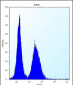 DDIT3 Antibody (Center)